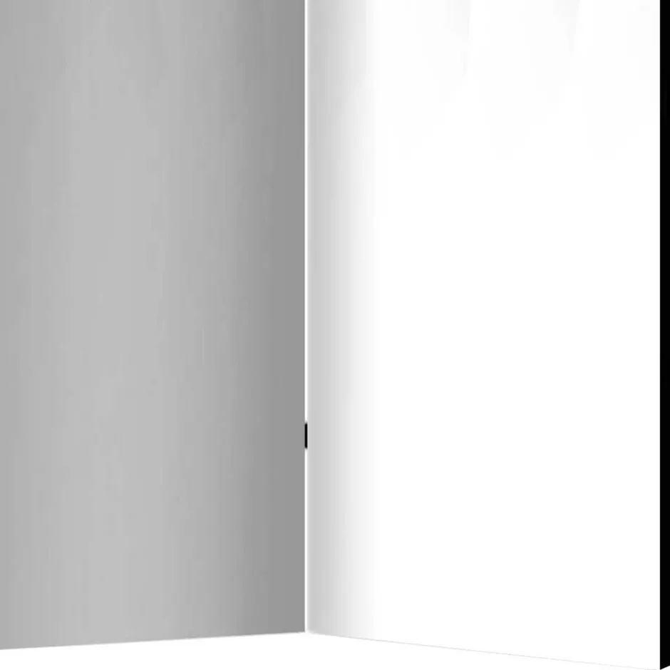 Paravents|Raumteiler*Pharao24 5 Elemente Trennwand Dressa