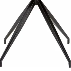 Hochlehner|Lederstühle*Pharao24 2 Stühle Esszimmer Cherry