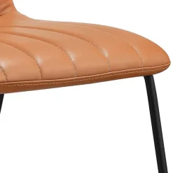 Küchenstühle|Esszimmerstühle*Pharao24 2 Stühle Tiamo