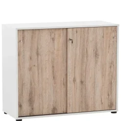 Büroschränke|Aktenschränke*Pharao24 Aktenschrank Rian