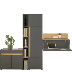 Pharao24 Arbeitszimmermöbel Set Uzniana> Büromöbel Sets