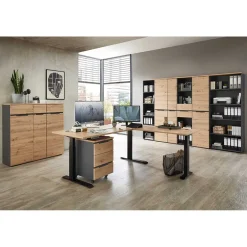 Pharao24 Arbeitszimmermöbel 9teilig Esdravos> Büromöbel Sets