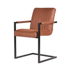 Küchenstühle|Esszimmerstühle*Pharao24 Armlehnen Freischwinger Eliane