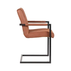 Küchenstühle|Esszimmerstühle*Pharao24 Armlehnen Freischwinger Eliane