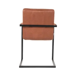 Küchenstühle|Esszimmerstühle*Pharao24 Armlehnen Freischwinger Eliane