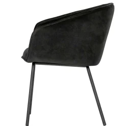 Armlehnstühle*Pharao24 Armlehnenstühle Lalverma