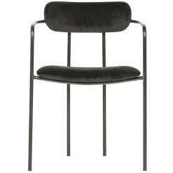 Polsterstühle|Armlehnstühle*Pharao24 Armlehner Botein