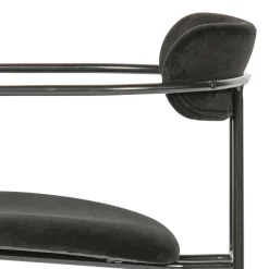 Polsterstühle|Armlehnstühle*Pharao24 Armlehner Botein