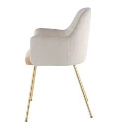 Küchenstühle|Esszimmerstühle*Pharao24 Armlehner Francara