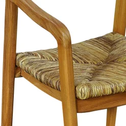 Küchenstühle|Esszimmerstühle*Pharao24 Armlehner Rolan