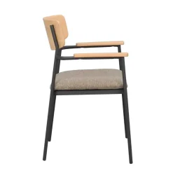 Massivholz Stühle*Pharao24 Armlehnstuhl Calbilan