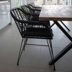 Küchenstühle|Esszimmerstühle*Pharao24 Armstühle Omnus