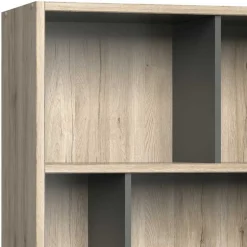 Regalschränke|Wohnzimmerregale*Pharao24 Bücher Regal Olivienne