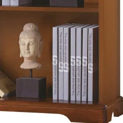 Wohnzimmerregale|Massivholzregale*Pharao24 Bücher Regal Sucrela