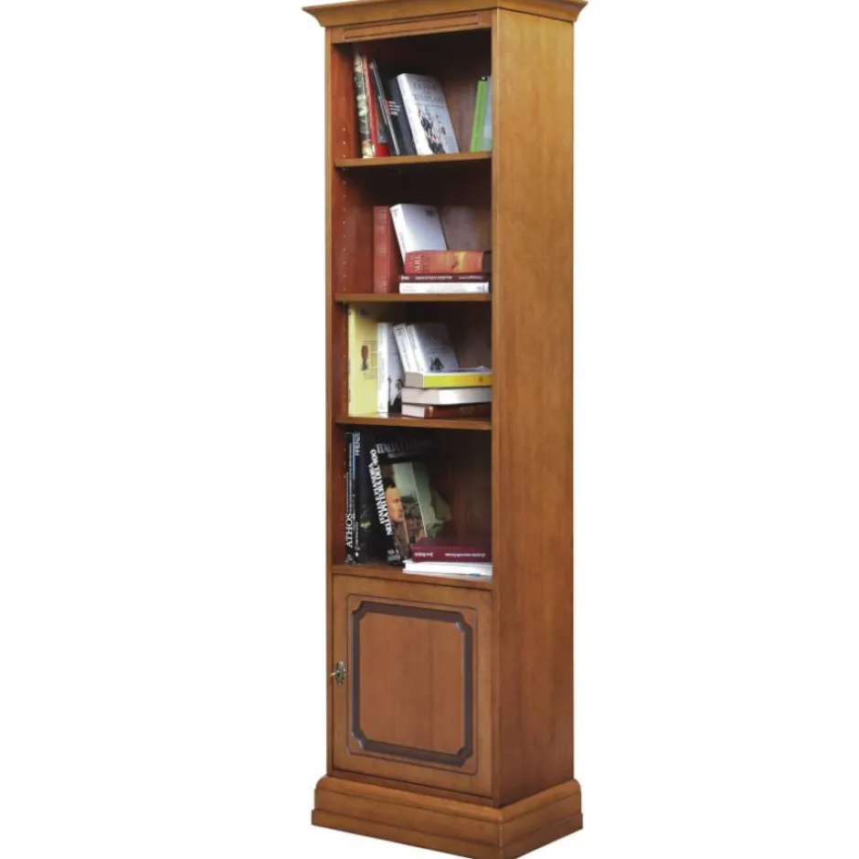 Regalschränke|Wohnzimmerregale*Pharao24 Bücherregal mit Tür Cadruna