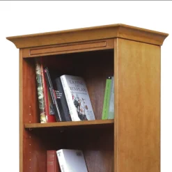 Regalschränke|Wohnzimmerregale*Pharao24 Bücherregal mit Tür Cadruna