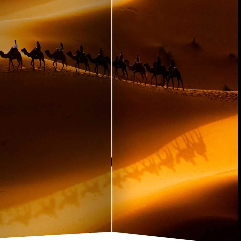 Raumteiler|Paravents*Pharao24 Blickdichter Paravent Anzarote