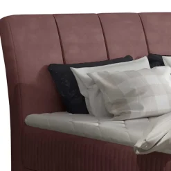 Pharao24 Boxbett Roper><noscript><img width=