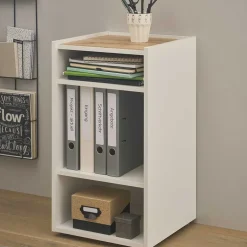 Standregale|Aktenregale*Pharao24 Büro Aktenregal klein Rascian