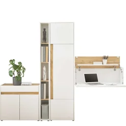 Pharao24 Büromöbel Komplettset Rascian> Büromöbel Sets