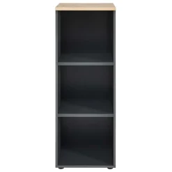 Regalschränke|Standregale*Pharao24 Büroregal Esdravos