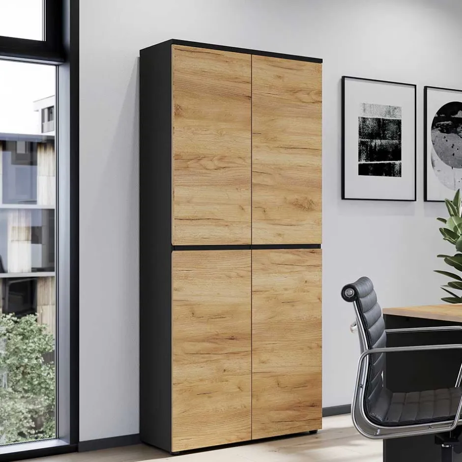 Büroschränke|Aktenschränke*Pharao24 Büroschrank Charin