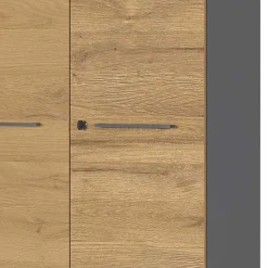 Pharao24 Büroschrank Zaraktis><noscript><img width=