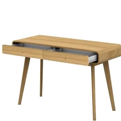 Computertische|Jugendschreibtische*Pharao24 Designschreibtisch Elefontra