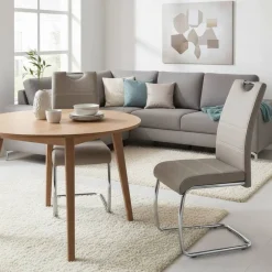 Pharao24 Esszimmer Freischwinger Dredali> Lederstühle|Freischwinger