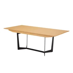 Pharao24 Esszimmer Tisch Ryllia> Ausziehtische