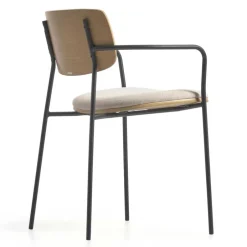 Armlehnstühle*Pharao24 Esszimmerarmlehnstuhl Set Tessa