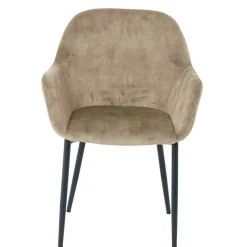 Armlehnstühle*Pharao24 Esszimmerarmlehnstuhl Set Danatura