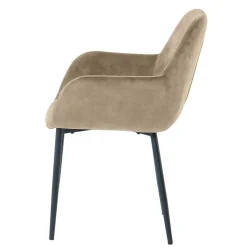 Armlehnstühle*Pharao24 Esszimmerarmlehnstuhl Set Danatura