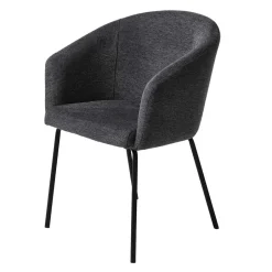 Armlehnstühle*Pharao24 Esszimmersessel Pascana