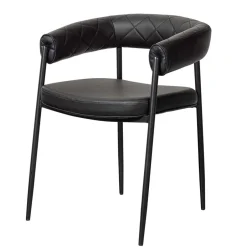 Lederstühle|Esszimmersessel*Pharao24 Esszimmerstuhl Ariada