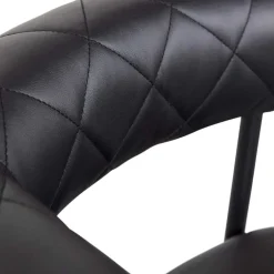 Lederstühle|Esszimmersessel*Pharao24 Esszimmerstuhl Ariada