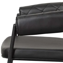 Lederstühle|Esszimmersessel*Pharao24 Esszimmerstuhl Ariada