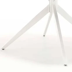 Hochlehner*Pharao24 Esszimmerstuhl Colin