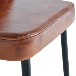 Lederstühle*Pharao24 Esszimmerstuhl Maglix