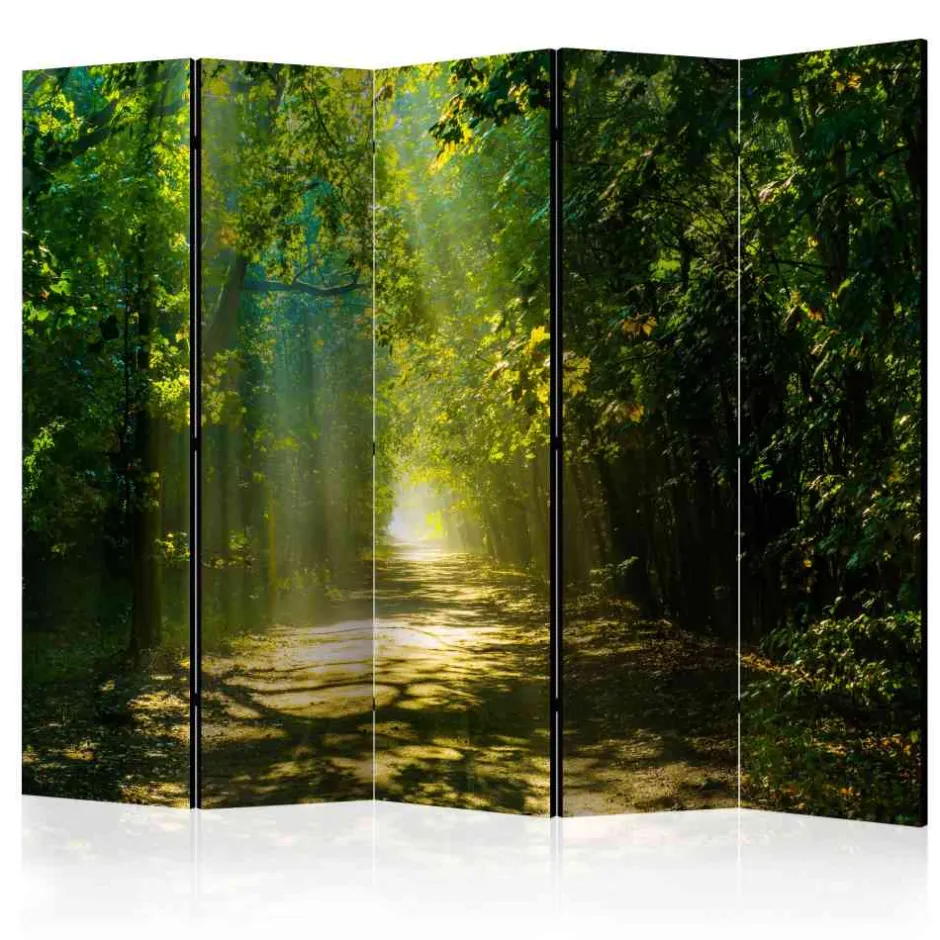 Pharao24 Falt Paravent Ciery> Raumteiler|Paravents