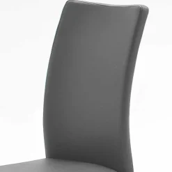 Küchenstühle|Esszimmerstühle*Pharao24 Freischwinger Curumon