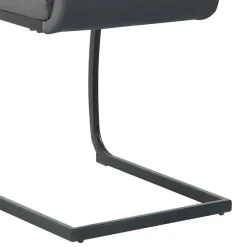 Lederstühle|Freischwinger*Pharao24 Freischwingerstuhl Buono