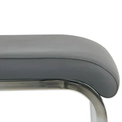 Lederstühle|Freischwinger*Pharao24 Freischwingerstuhl Jayma