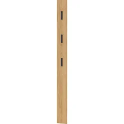 Pharao24 Garderobenpaneel Tessina> Garderoben Paneele|Wandgarderoben