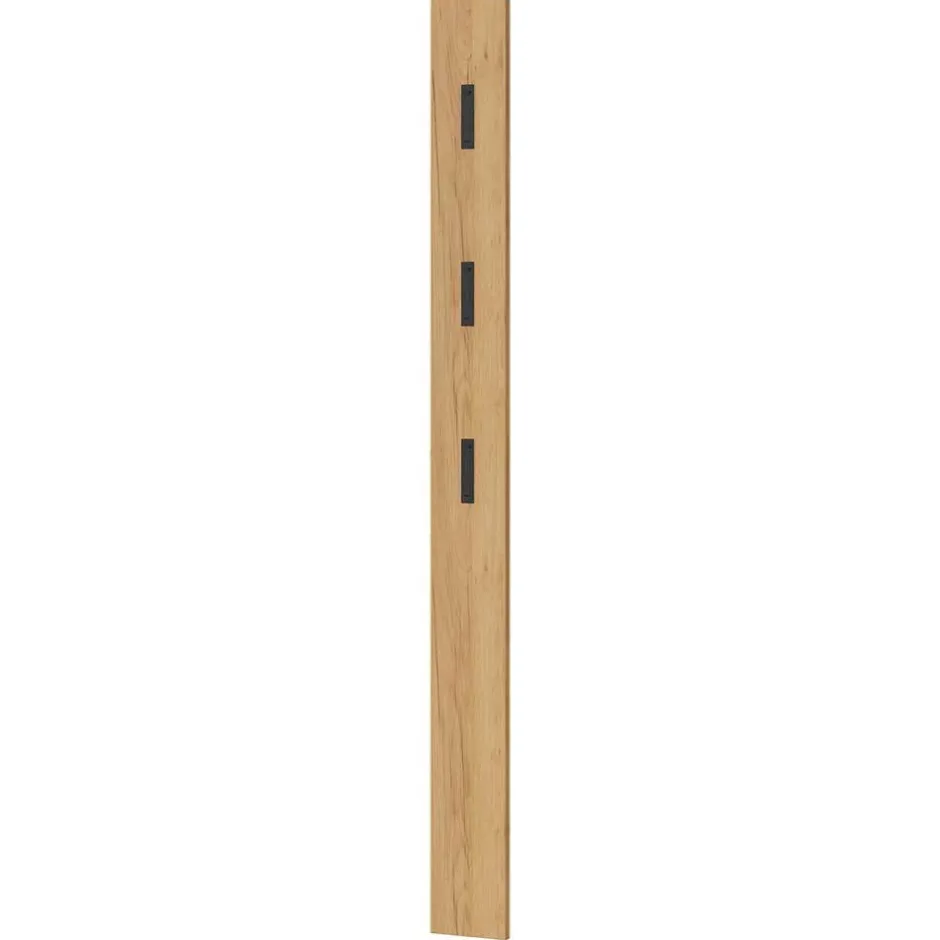 Pharao24 Garderobenpaneel Tessina> Garderoben Paneele|Wandgarderoben