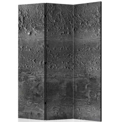 Pharao24 Grauer Paravent Liarisa><noscript><img width=