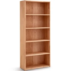 Regalschränke|Aktenregale*Pharao24 Großes Aktenregal Len