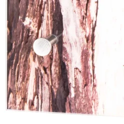 Wandgarderoben*Pharao24 Hakengarderobe Sacrala