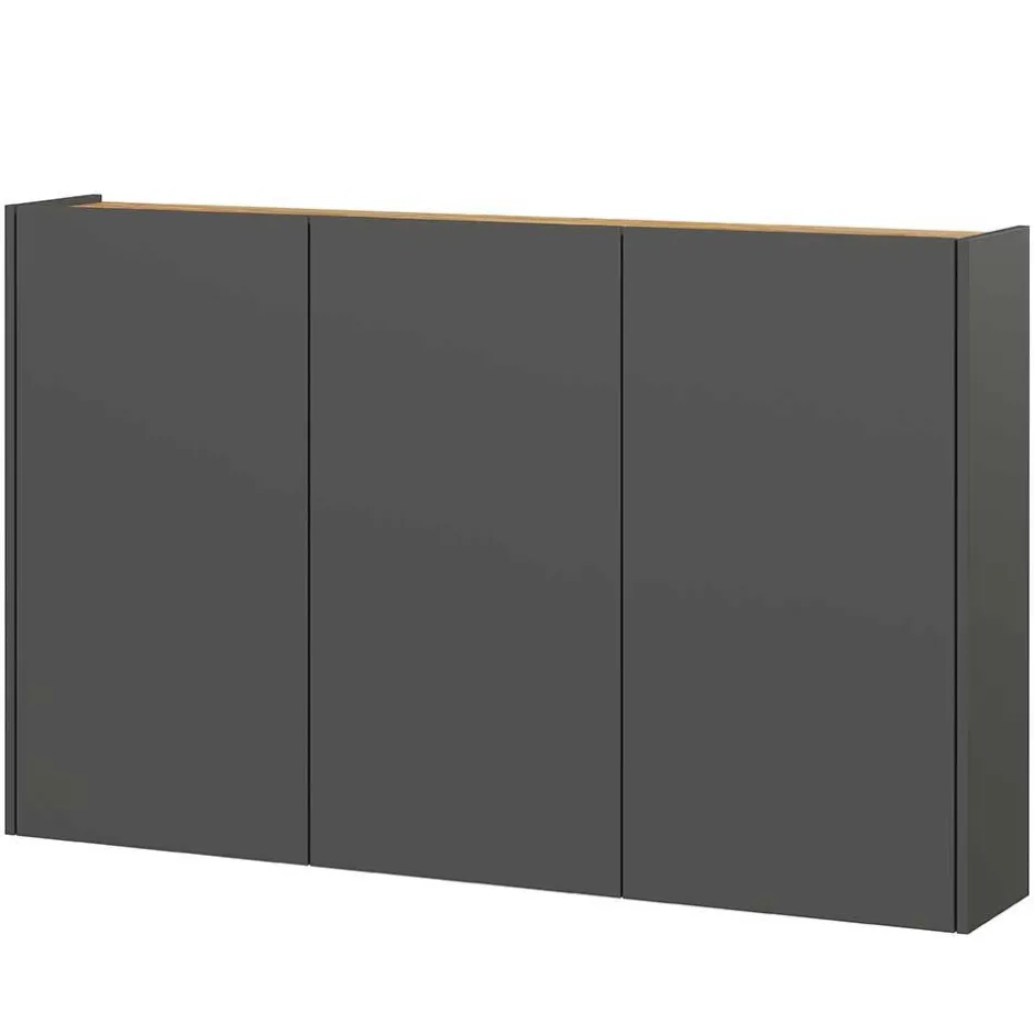 Pharao24 Hängeschrank Francais> Schuhschränke