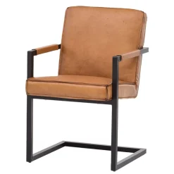 Polstermöbel|Küchenstühle*Pharao24 Industriestil Freischwinger Rhodos